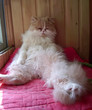 oh! strong heat!