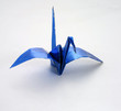 oiseau