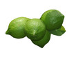 lime lime