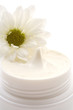 face cream