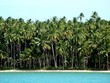 isola tropicale