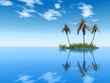 palm island palm island