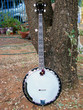 Autumn Banjo