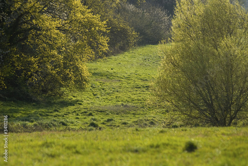 paysage de bocage, maine et loire, france