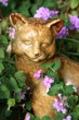 garden kitty