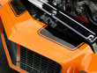 orange and black
