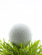 tee shot