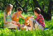 friends on picnic