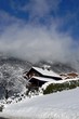 paysage de neige