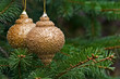 Photo: MACRO PICTURE OF TWO GOLDEN BULBS MACRO PICTURE OF TWO GOLDEN BULBS