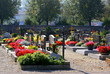 friedhof in enns - gräber