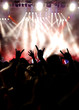 Concert crowd