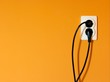 socket