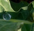 wassertropfen wassertropfen