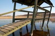 swamp