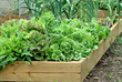 container garden container garden