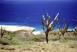 arikok nationalpark, aruba arikok nationalpark, aruba