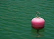 water-nymph
