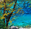 fairyland