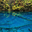 fairyland