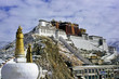 potala palace