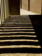 shadow walk shadow walk