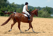 cavalière