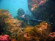 pesca in apnea