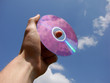 disk in hand