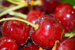fruit