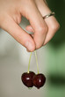 sweet cherry
