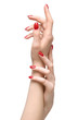elegant woman hands