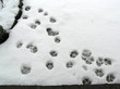 footprints