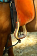 cavallo