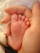 petit pied dans ma main