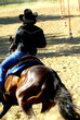cavallo
