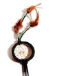 dreamcatcher