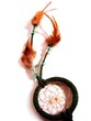 dreamcatcher