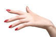 elegant woman hand