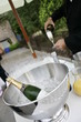 champagne
