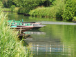 barques du marais poitevin barques du marais poitevin