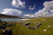 hebridean croft
