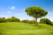 beautiful outdoor landscape