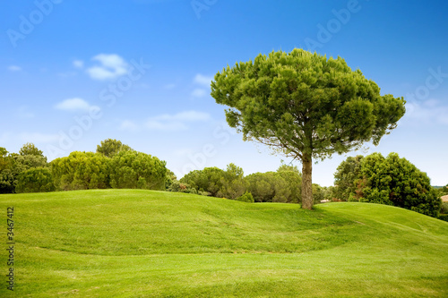Photo: beautiful outdoor landscape beautiful outdoor landscape