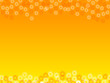 orange flowers background
