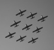 volo bianco e nero