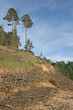 sand dunes erosion