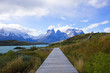 a scenic walk in patagonia a scenic walk in patagonia
