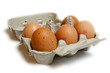 Carton of half dozen eggs