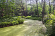 idyllic-15